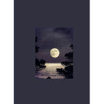 ・My Moons・