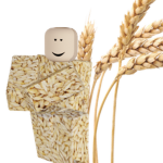 Rice Religion