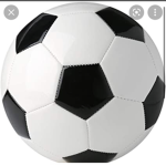 Soccer Fan group1