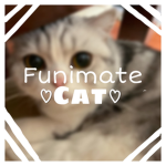 Funimate cat
