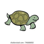 turtlz and tortoisez
