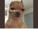 h77
