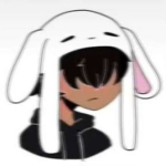 Anima ninjas