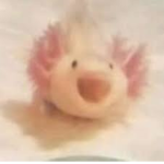 That Axolotl Gang