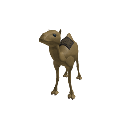 Camel