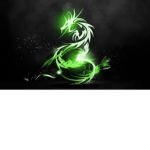 The DarkDragons