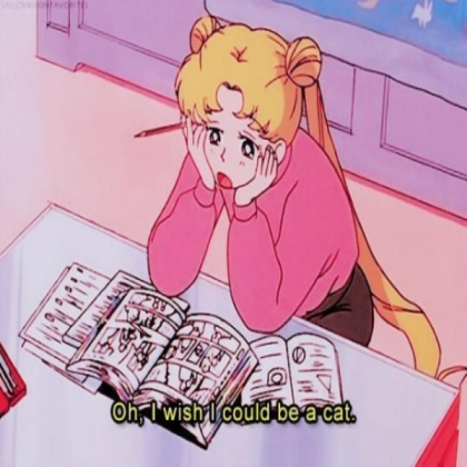 Sailor Moon aesthetic Roblox decal
