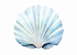 The Nereid Empire