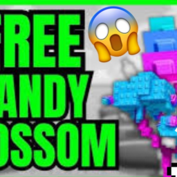 candy blossom