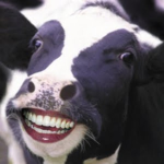 MOO Studios 丑