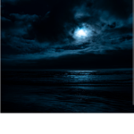 DarkNight and friends