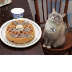 MEEP MEME KINGDOM