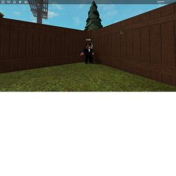 hide n seek