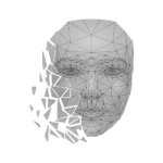 Polyverse Interactive