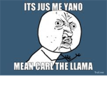LLAMMAS CANT DRIVE MAN