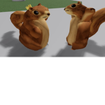 Squirrel gangie