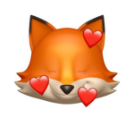 My Foxes!!