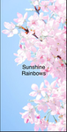 Sunshine Rainbows- Owner:Sophia