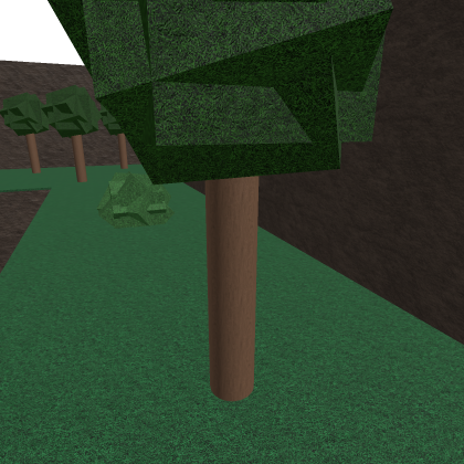 Forest Map