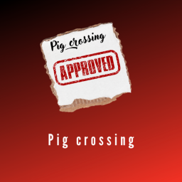 Pig Crossing