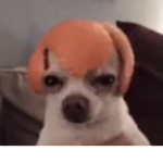 Demon Overlord