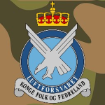 NOR | Royal Norwegian Air Force, "Luftforsvaret"