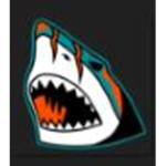 The Miami Sharks!