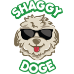 Shaggy Doge