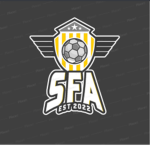 OFA | Overpowered Football Association