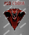 Redcobra gang