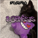 $GENESIS