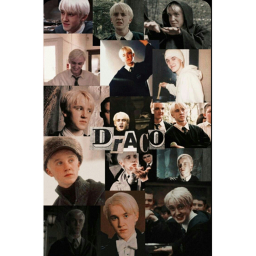 Draco Malfoy Sanctuary