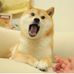 T D A - The Doge Army