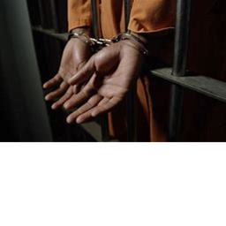 Roblox Penitentiary