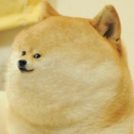 xXdoge gangXx