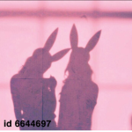 P1ayboyBunnies