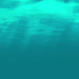 [̲̅$̲̅(̲̅5̲̅)̲̅$̲̅]