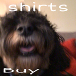 Dyl & G Shirts