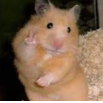 Hamster For Life!