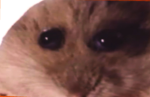 Lilou avec sim