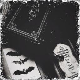 🦇