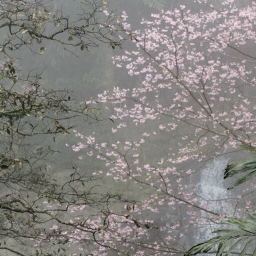 ♡
