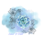 Sweet ‘N Scent