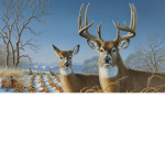Deer Hunters and Fishers group (No city people)