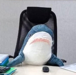 Shark Offices!