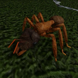 Simulador de hormigas 2 icon