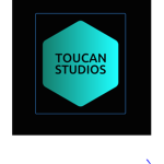 Toucan Studio