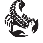 Black Scorpion Security.