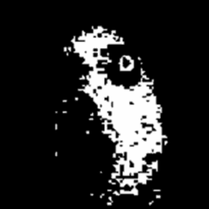 Creepy face animation frame 2 Roblox decal