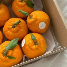 🍊